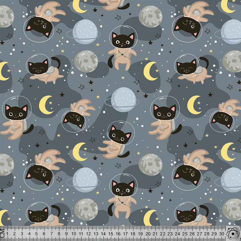 A96 Cats in Space.