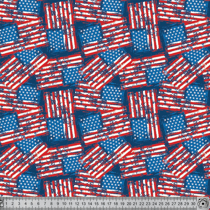 FG6 Grunge worn American Flag.