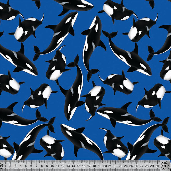 J029 Blue Orca Wale print 1.
