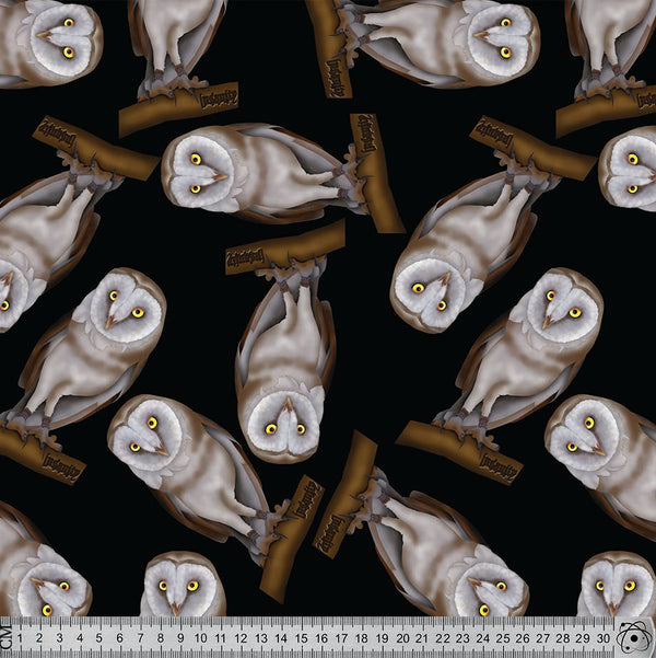J030 Owl Print.