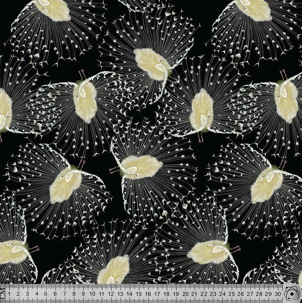 J032 White Peacock Print.