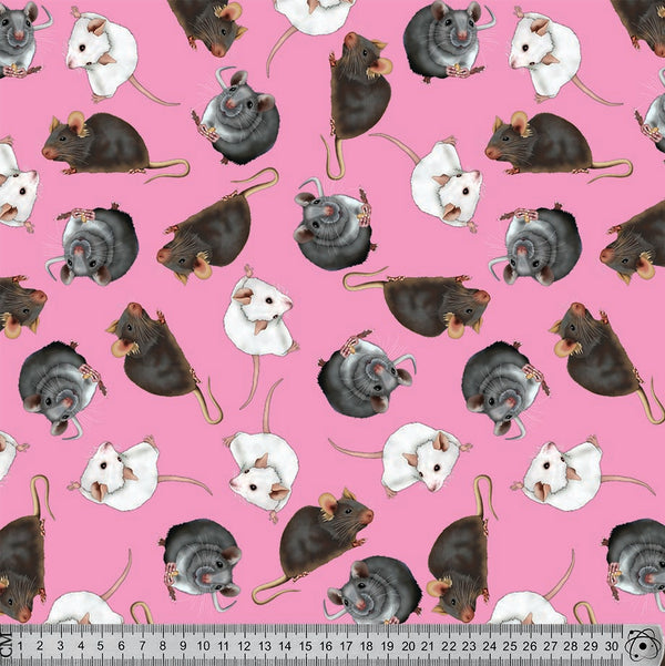J041 Grey Rats.