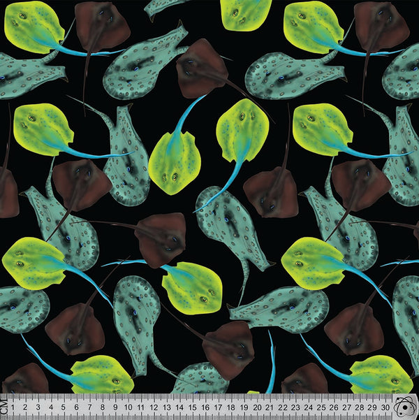 J052 Stingray Print.