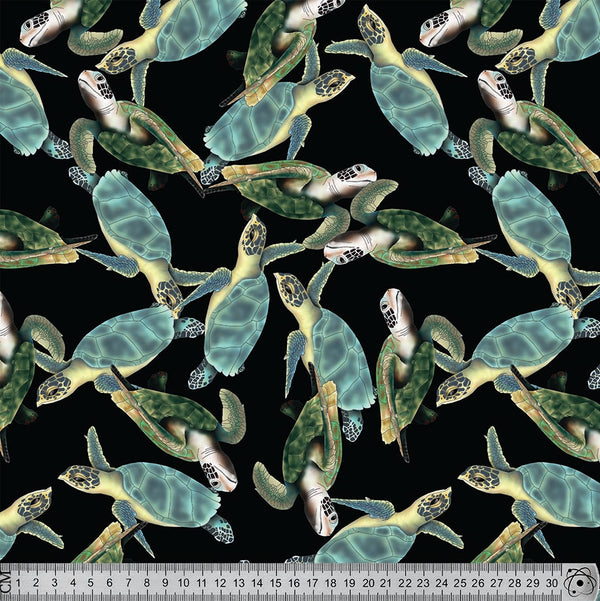 J064 Turtle black background Print.