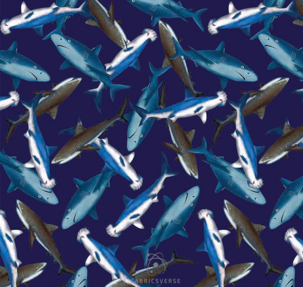 3041 Sharks navy Print.