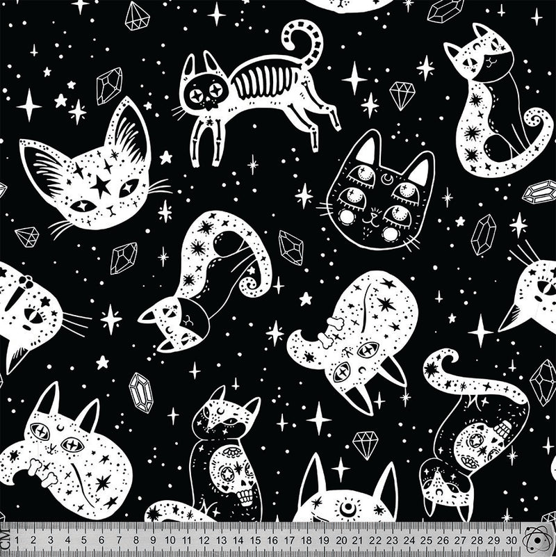 black and white cats and stars.